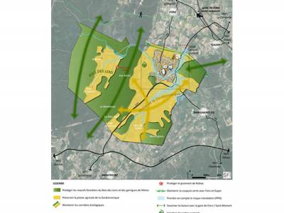 11. PLAN LOCAL D’URBANISME DE SAINT-MAMERT-DU-GARD (GARD)